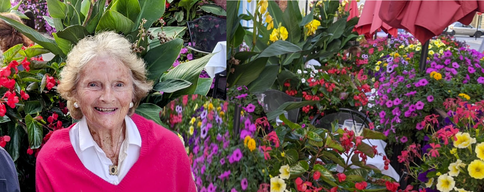 Long-Time Supporter of the Arts: Di Kirkwood